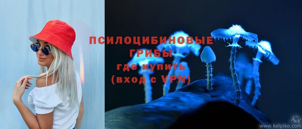 шишки Зерноград