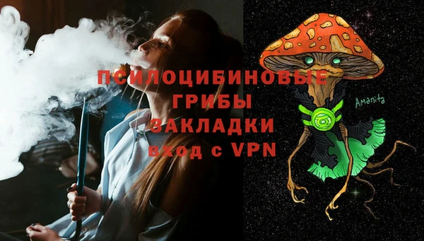 шишки Зерноград