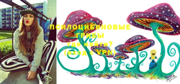 мдпв Инта