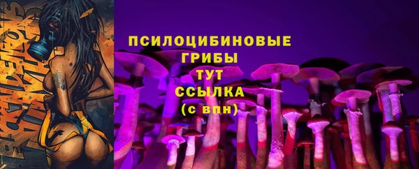 шишки Зерноград