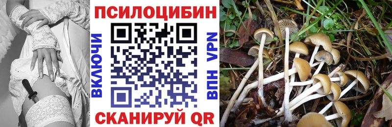 Галлюциногенные грибы Psilocybine cubensis  дарнет шоп  Ишим 