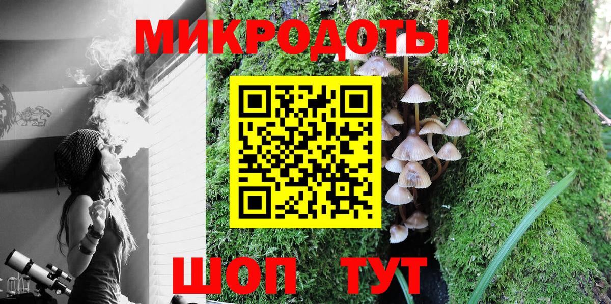 Галлюциногенные грибы Psilocybe  где можно купить   Вход с VPN  Ишим  Галлюциногенные грибы мухоморы 