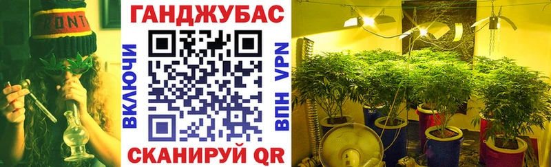 Бошки Шишки семена Ишим